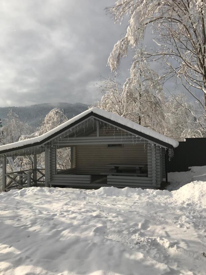Vip рокита Mykulychyn